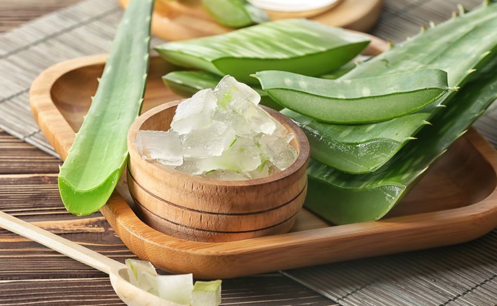 Find out 4 uses of aloe vera this summer! Learn more about how to get rid of dandruff.